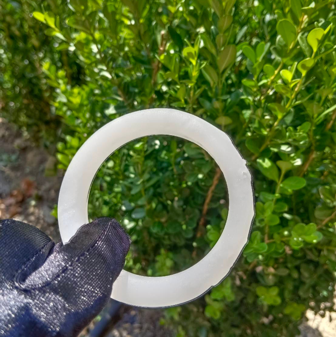 #1081 AGL Certified Natural White Nephrite Jade Carved Bangle Bracelet