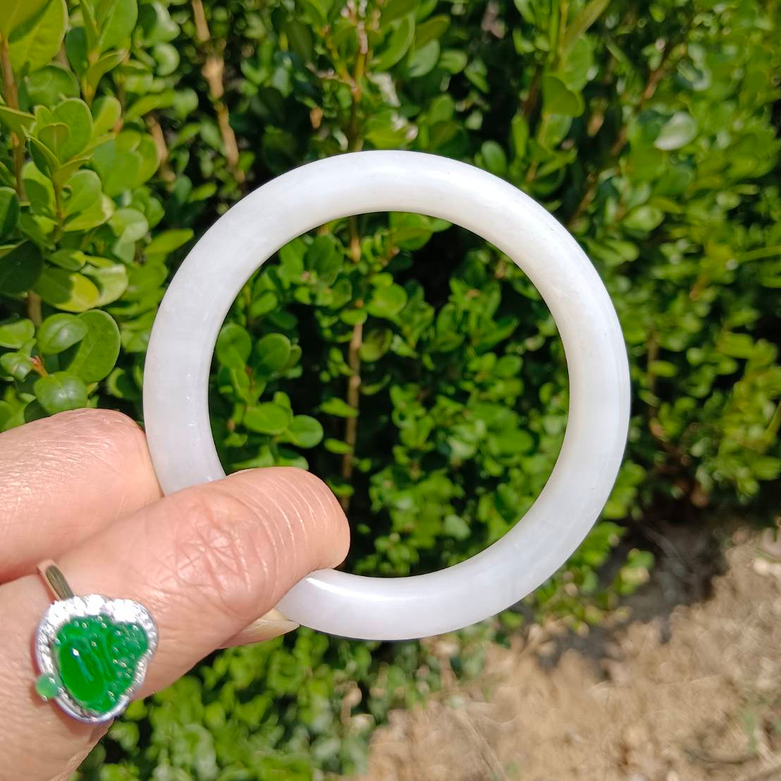 #1099 AGL Certified Natural White Nephrite Jade Bangle Bracelet