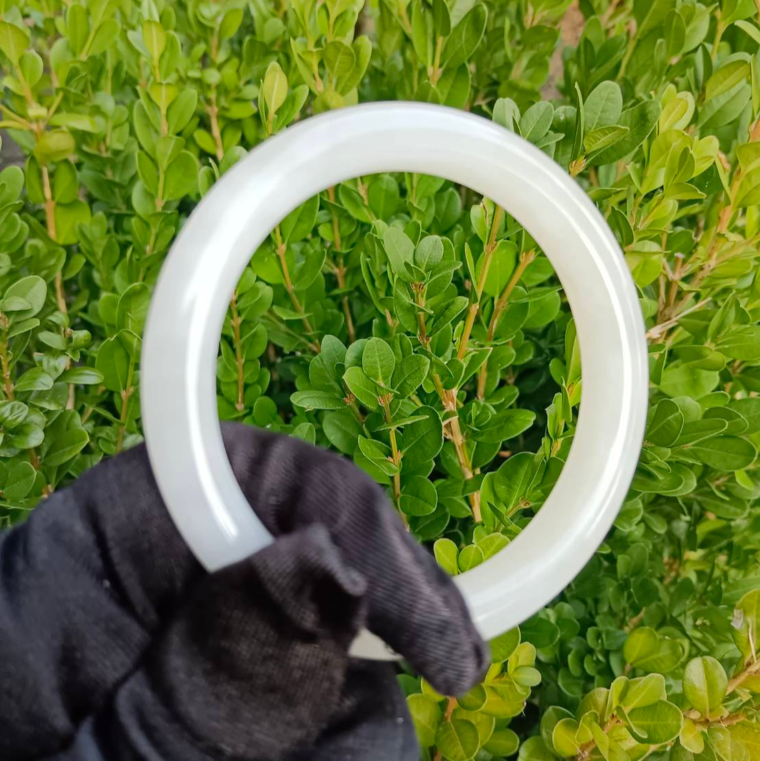 #1100 AGL Natural White Nephrite Jade Bangle Bracelet
