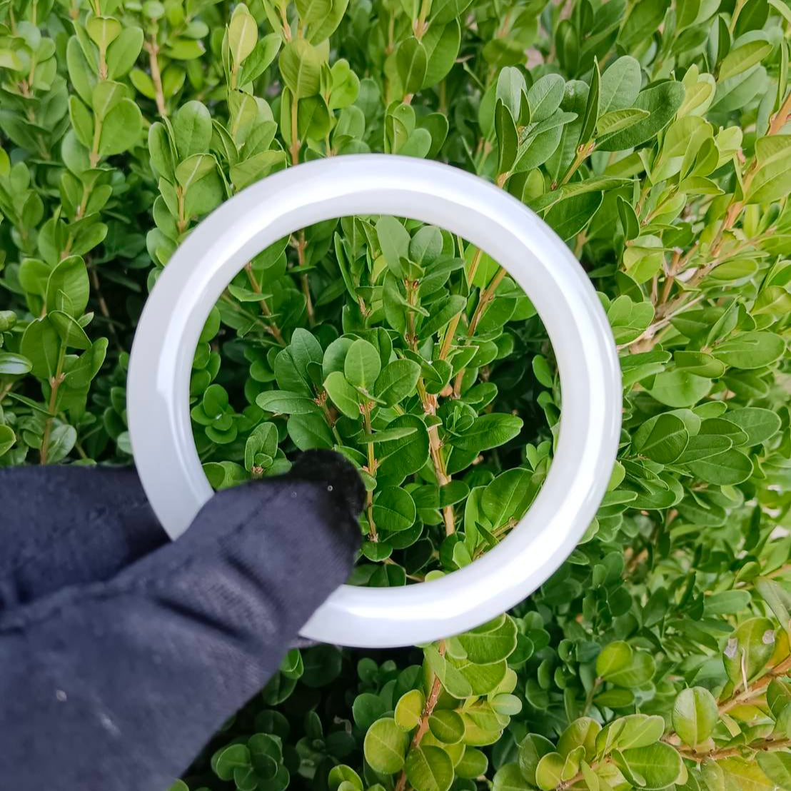 #1100 AGL Natural White Nephrite Jade Bangle Bracelet