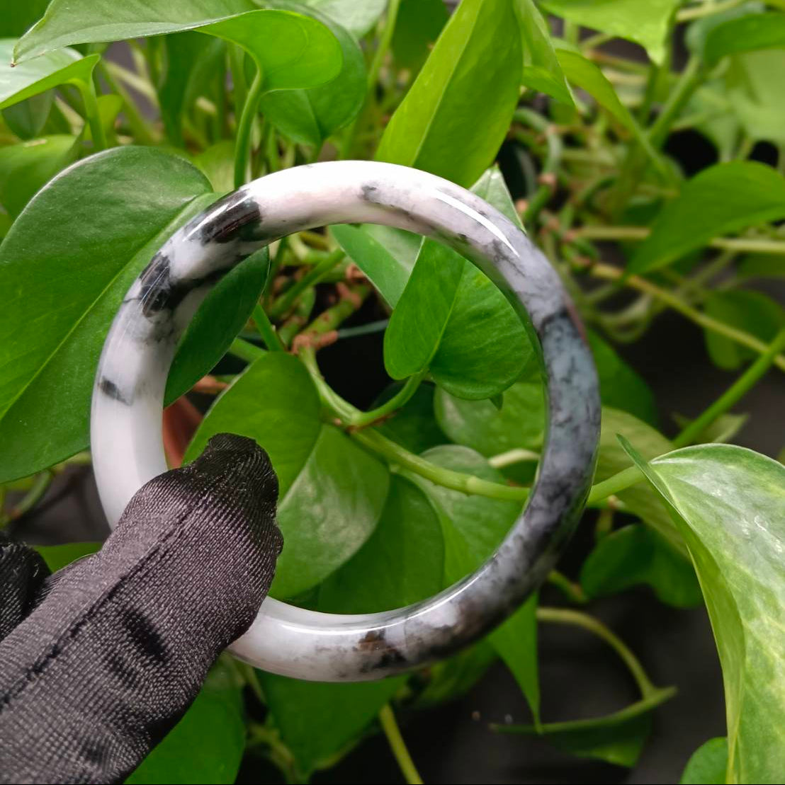 #1101 AGL Certified Dark Green/Black & White Burmese Jadeite Peace Bangle Bracelet