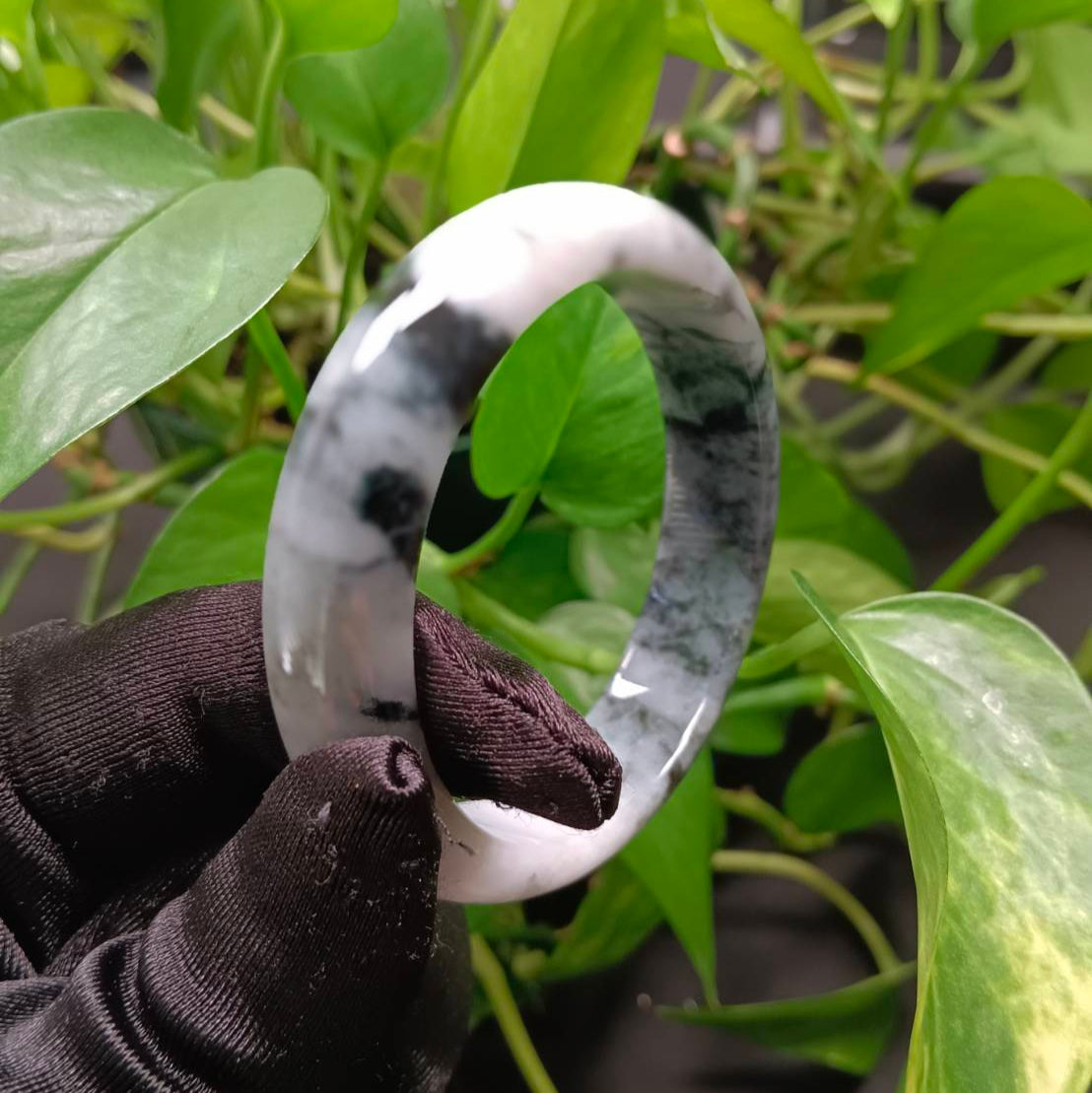 #1101 AGL Certified Dark Green/Black & White Burmese Jadeite Peace Bangle Bracelet