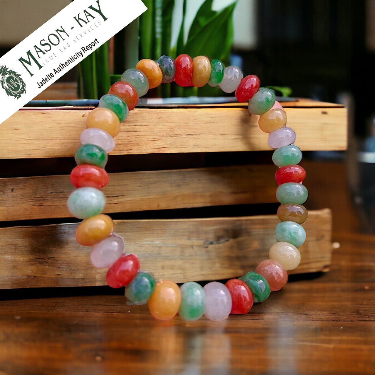 #5 Mason-Kay Certified Icy Translucent Natural Burma Jadeite Jade Multi-Color Bead Bracelet, 7+ mm beads