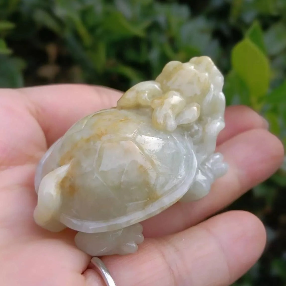 #362 Mason-Kay Certified Natural Yellow Burma Jadeite Jade Dragon Turtle Pendant