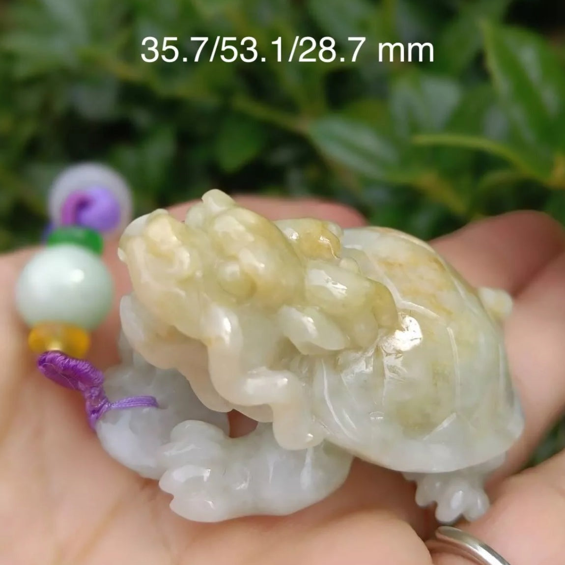#362 Mason-Kay Certified Natural Yellow Burma Jadeite Jade Dragon Turtle Pendant
