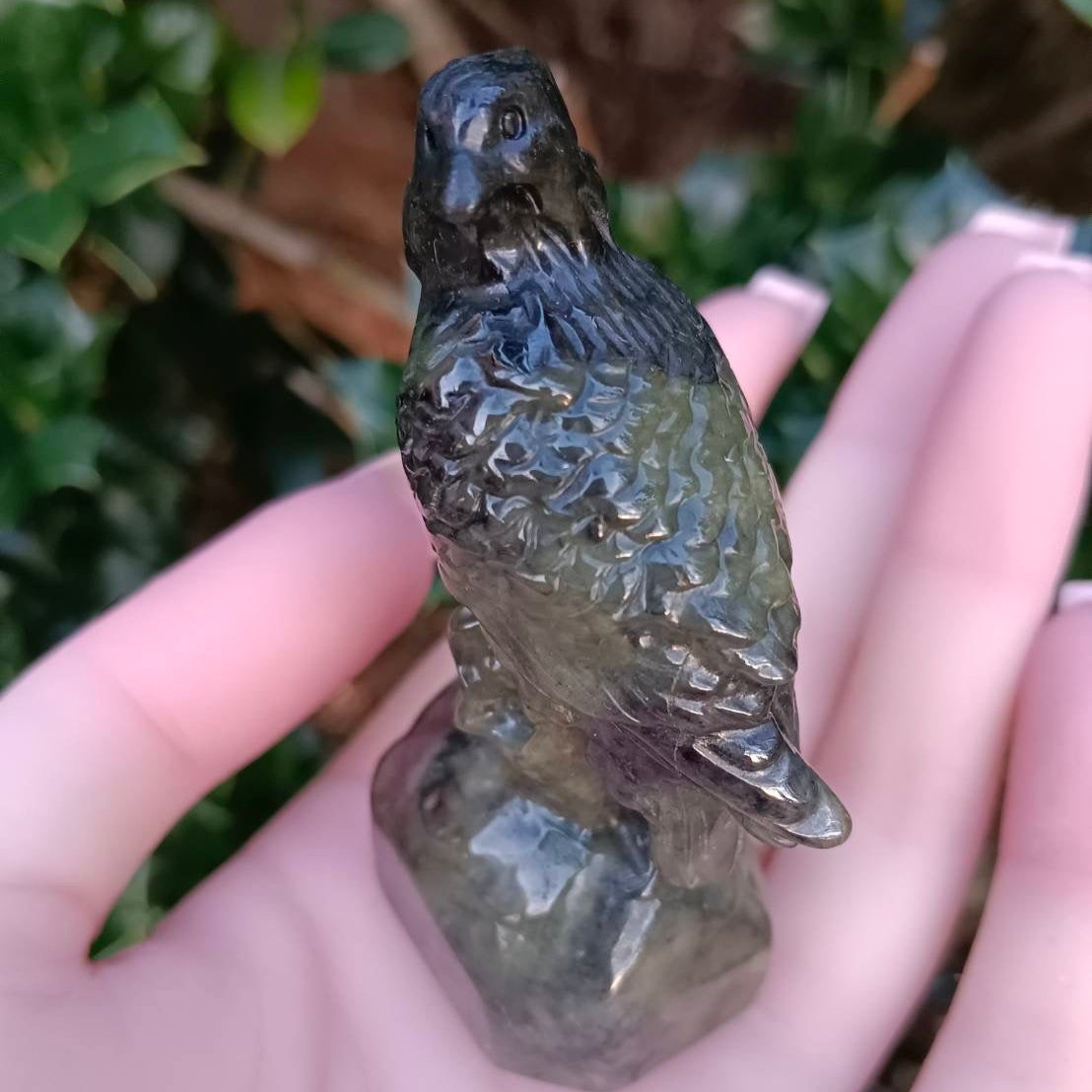 #58 Mason-Kay Certified Green and Black Burma Jadeite Jade Hawk Figurine
