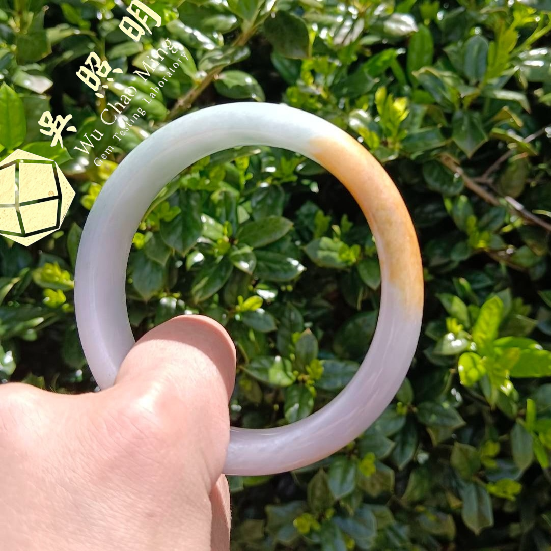#750 WCMGTL Certified Natural Multi-Color Burma Jadeite Half-Round Bangle Bracelet (63x13.7x8.8 mm)