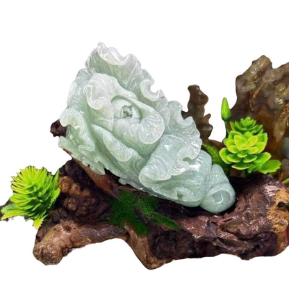 #945 Natural Translucent Burma Jadeite, Cabbage Display Piece